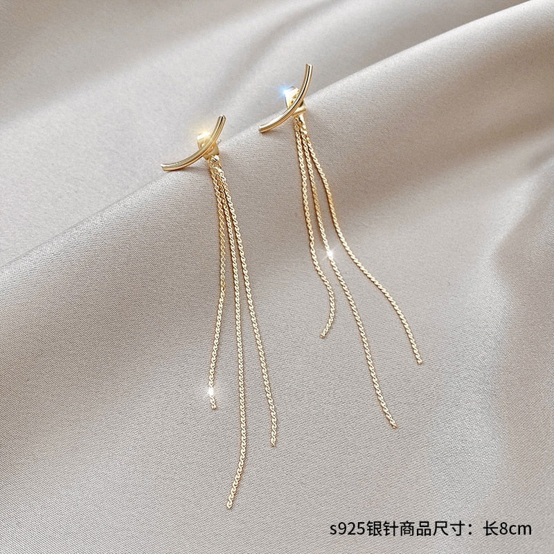 Fashion Jewelry 2021 Hypoallergenic Stainless Steel Earrings Female Long Tassel Earrings Wild Temperament Sweet Earrings