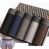 5Pcs/lot Men Underwear Cotton Boxer shorts